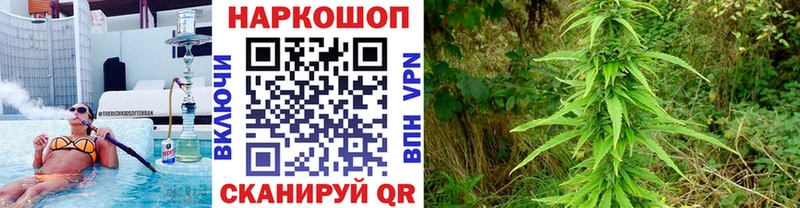 Где купить наркотики Унеча Гашиш  Кокаин  СК  Меф мяу мяу 