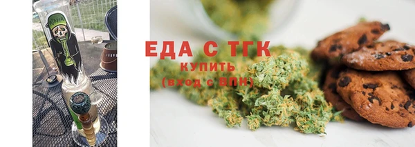 индика Богданович