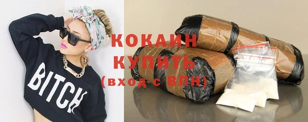 индика Богданович
