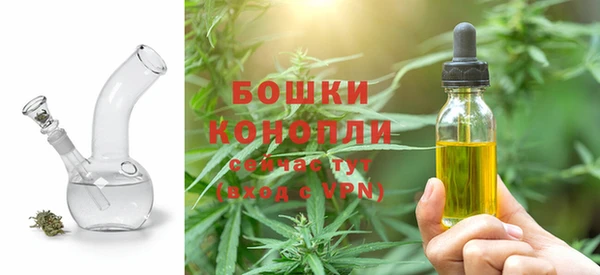 индика Армянск