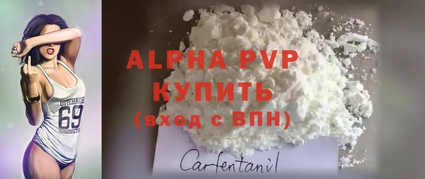 индика Богданович