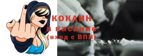 apvp Богородицк
