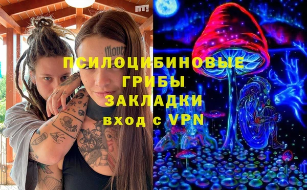 первитин Богородск