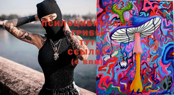 сатива Бронницы