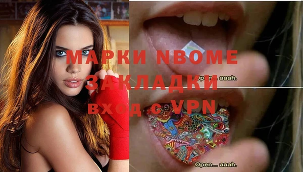 индика Богданович