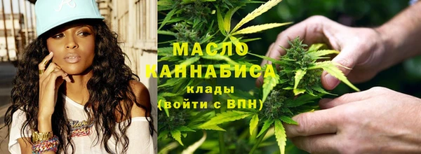 apvp Богородицк