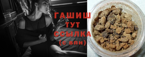 индика Богданович