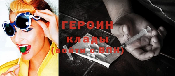 индика Богданович