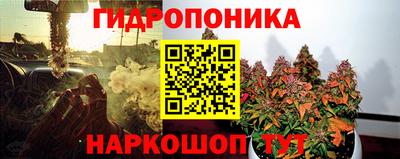 синтетический гашиш Кингисепп