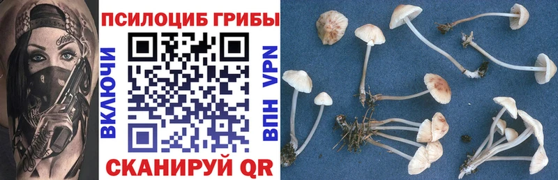 Галлюциногенные грибы прущие грибы  хочу наркоту  мега ссылки  Унеча 