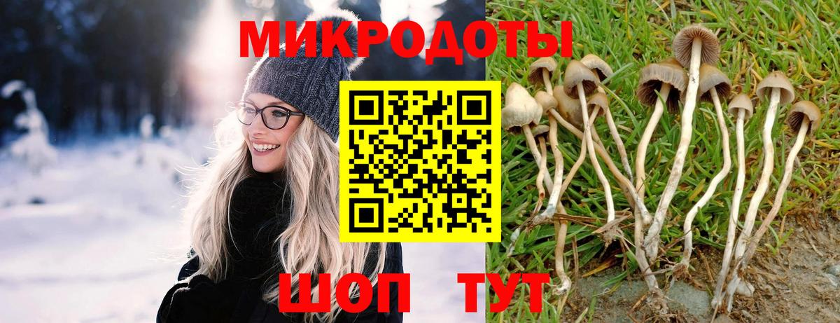 Галлюциногенные грибы мицелий  Псилоцибиновые грибы Psilocybine cubensis  Вход с VPN  Унеча 